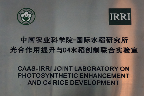 2.中国农业科学院-国际水稻研究所光合作用提升与C4水稻创制联合实验室_1.png