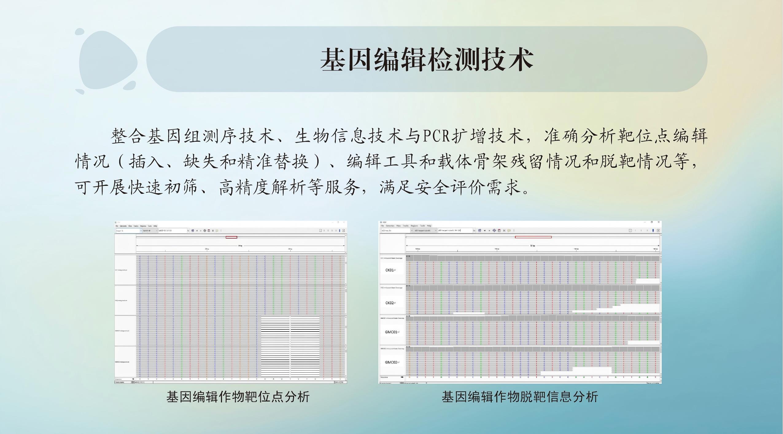 基因编辑检测技术.jpg