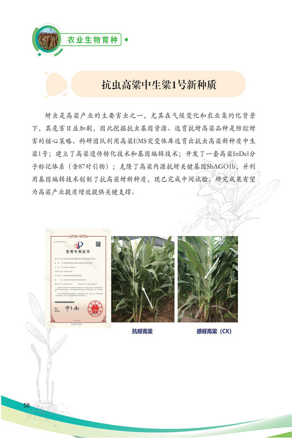 中国农科院生物所2026科技成果汇编2026.0403_68.jpg