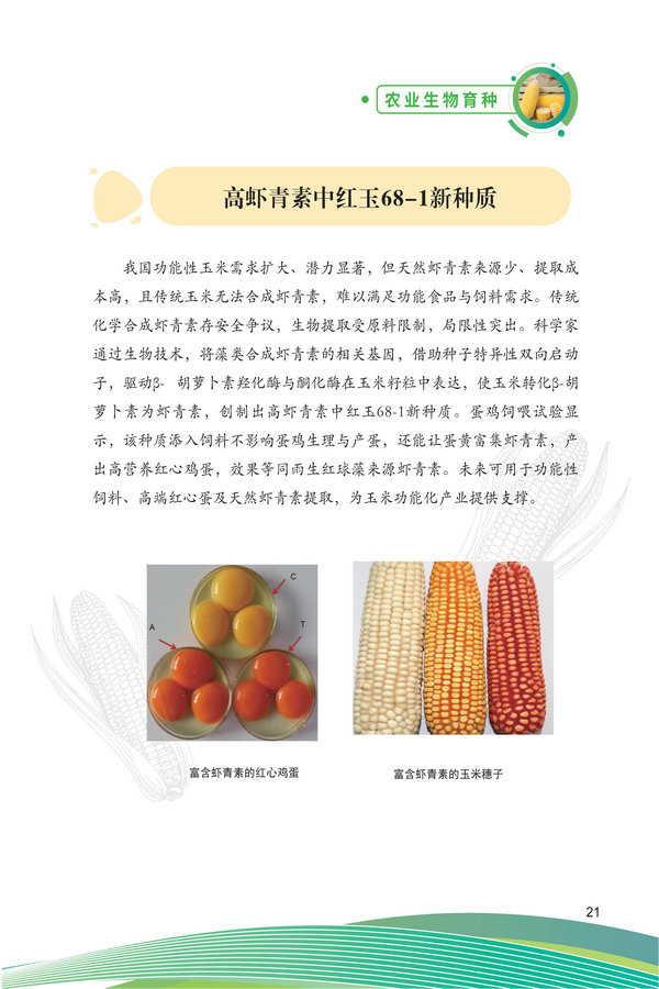 中国农科院生物所2026科技成果汇编2026.0403_31.jpg