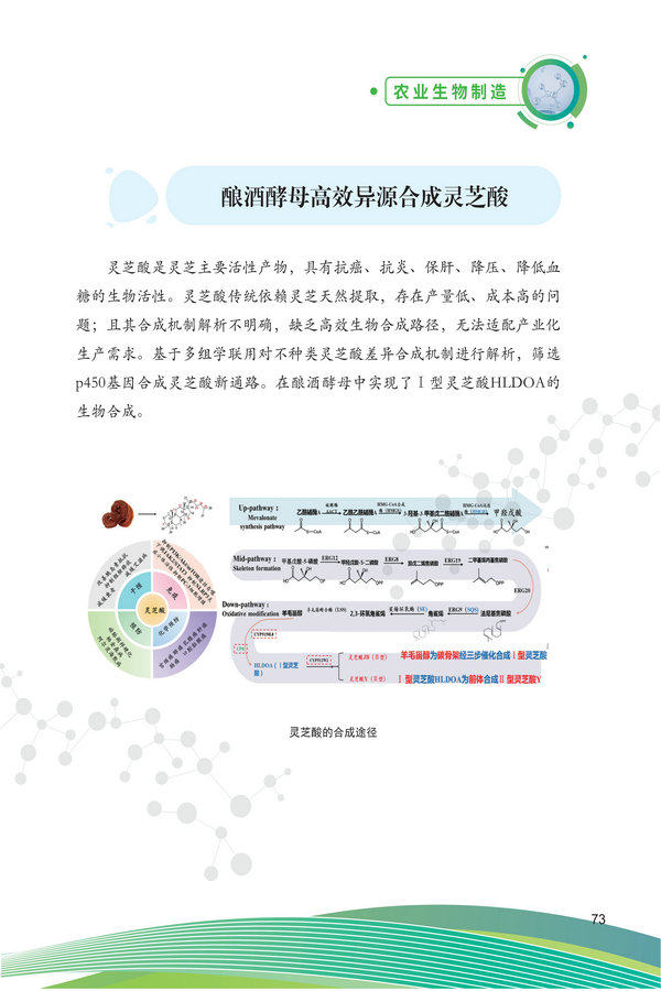 中国农科院生物所2026科技成果汇编2026.0403_83.jpg