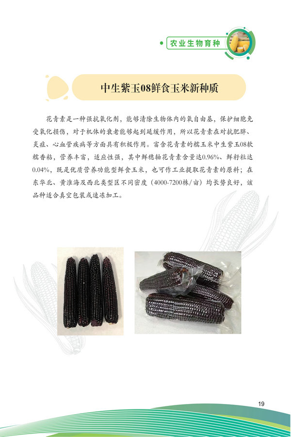 中国农科院生物所2026科技成果汇编2026.0403_29.jpg