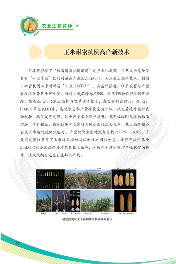 中国农科院生物所2026科技成果汇编2026.0403_32.jpg