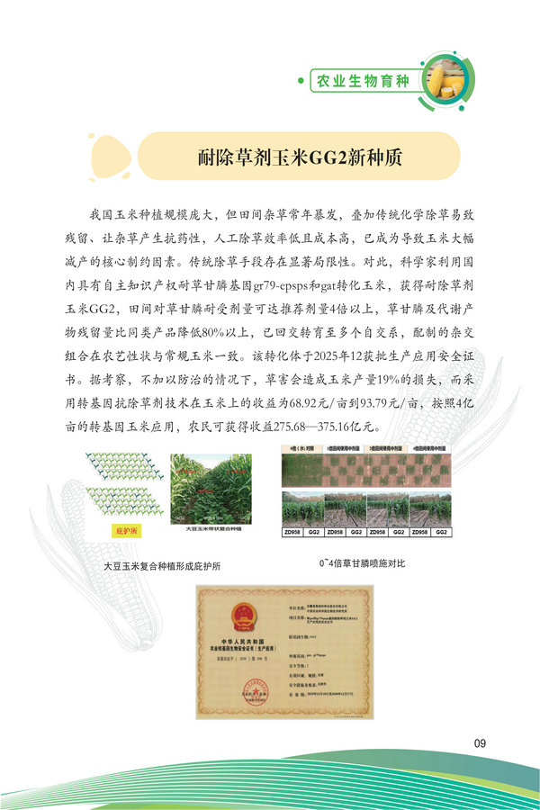 中国农科院生物所2026科技成果汇编2026.0403_19.jpg