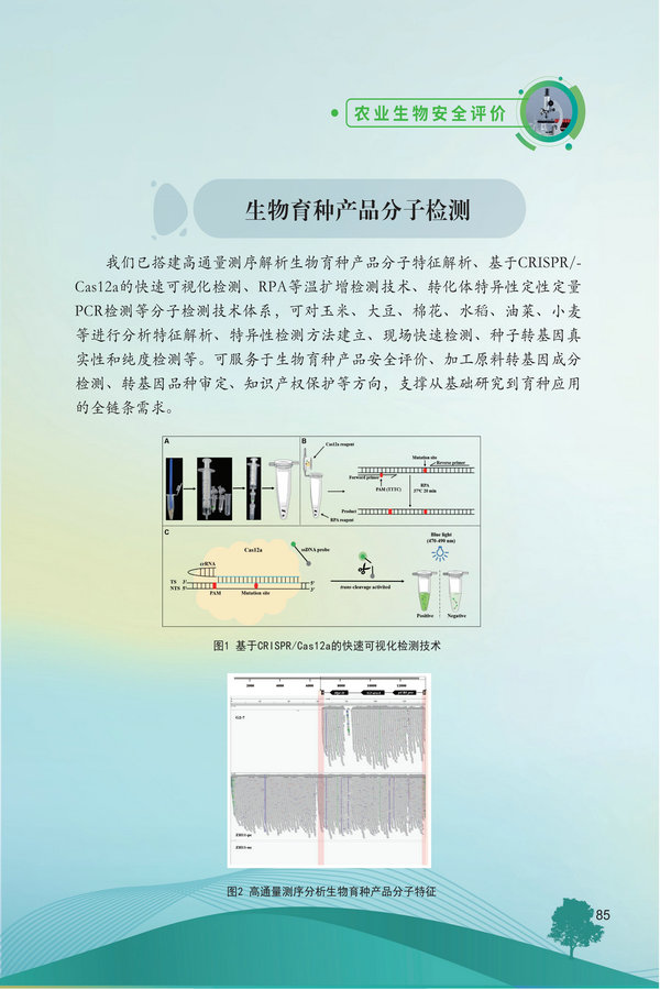 中国农科院生物所2026科技成果汇编2026.0403_95.jpg