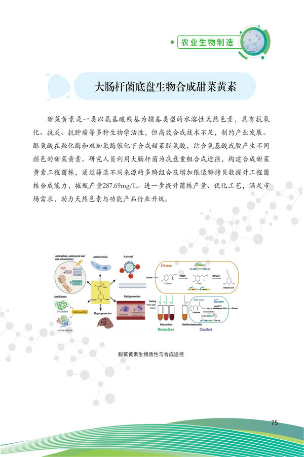 中国农科院生物所2026科技成果汇编2026.0403_85.jpg