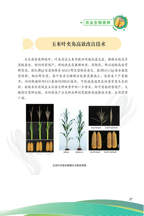 中国农科院生物所2026科技成果汇编2026.0403_37.jpg