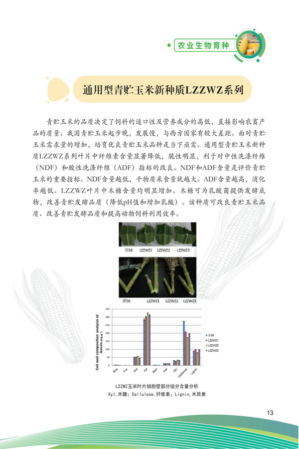 中国农科院生物所2026科技成果汇编2026.0403_23.jpg