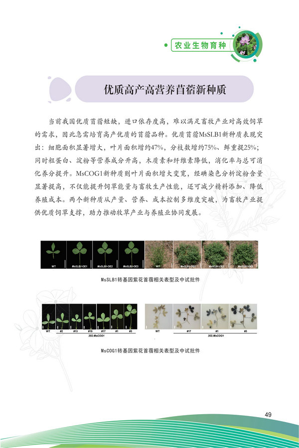 中国农科院生物所2026科技成果汇编2026.0403_59.jpg