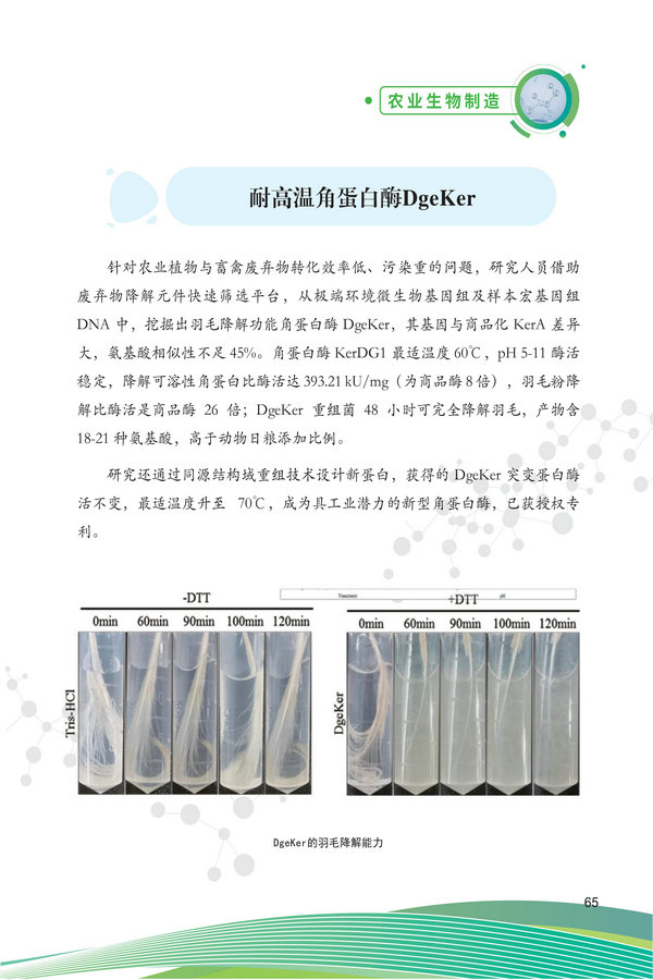 中国农科院生物所2026科技成果汇编2026.0403_75.jpg