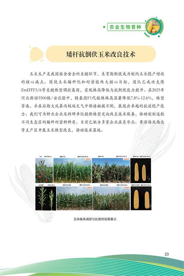 中国农科院生物所2026科技成果汇编2026.0403_33.jpg