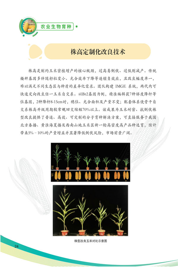 中国农科院生物所2026科技成果汇编2026.0403_34.jpg