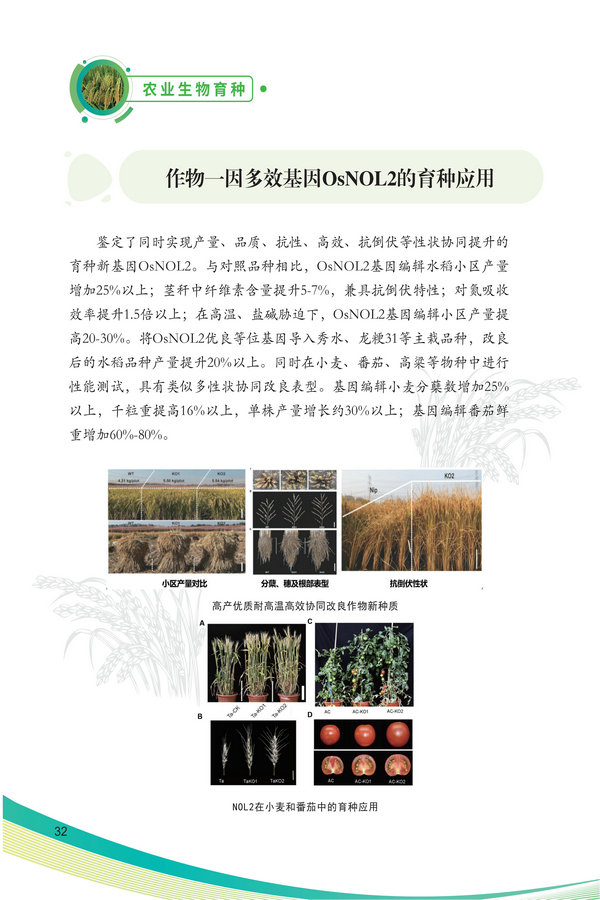 中国农科院生物所2026科技成果汇编2026.0403_42.jpg
