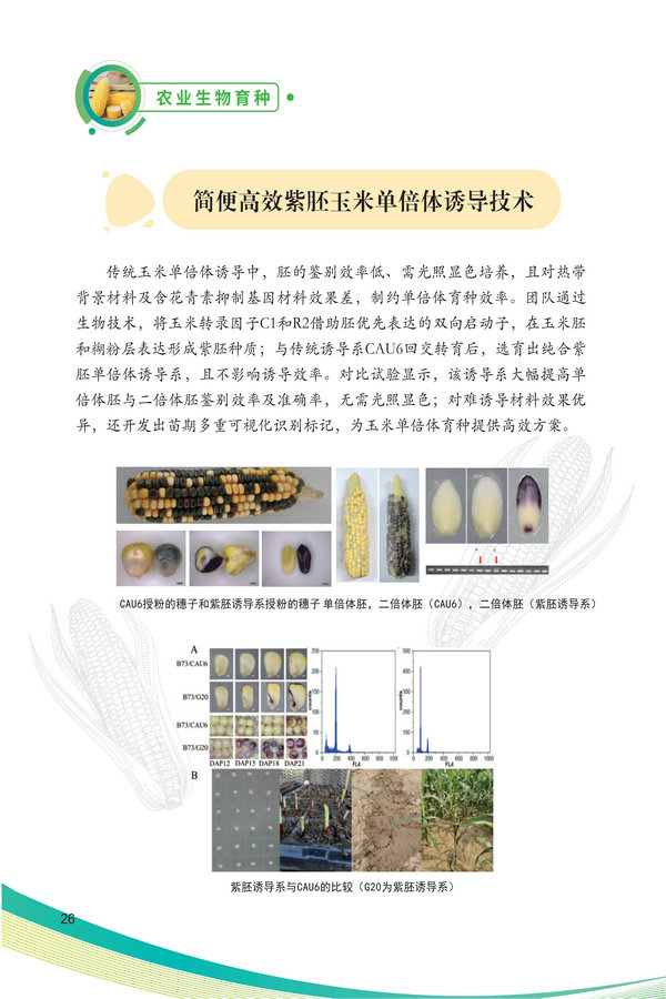 中国农科院生物所2026科技成果汇编2026.0403_36.jpg