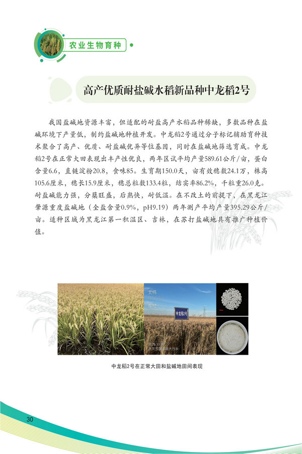中国农科院生物所2026科技成果汇编2026.0403_40.jpg