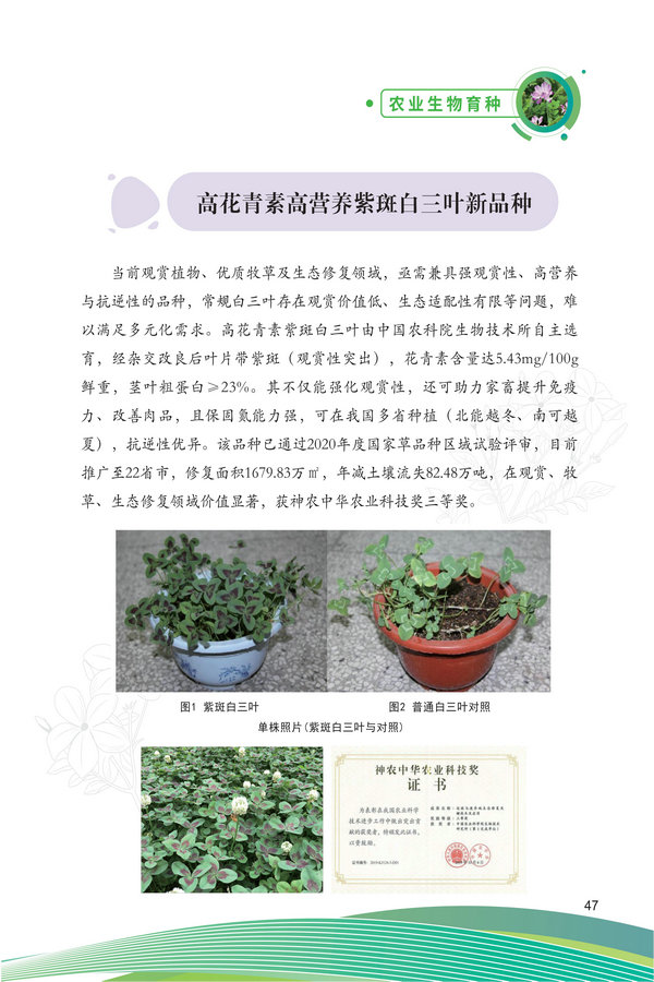 中国农科院生物所2026科技成果汇编2026.0403_57.jpg