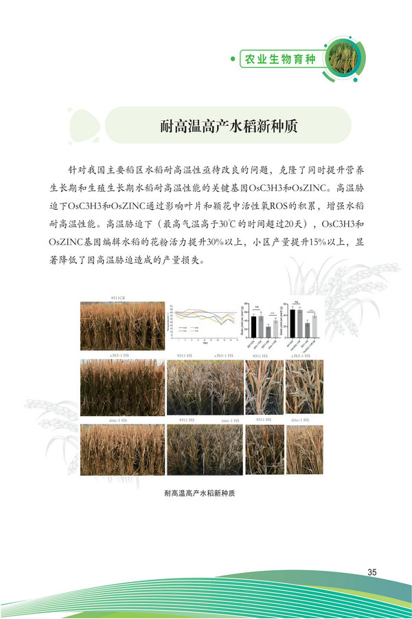 中国农科院生物所2026科技成果汇编2026.0403_45.jpg
