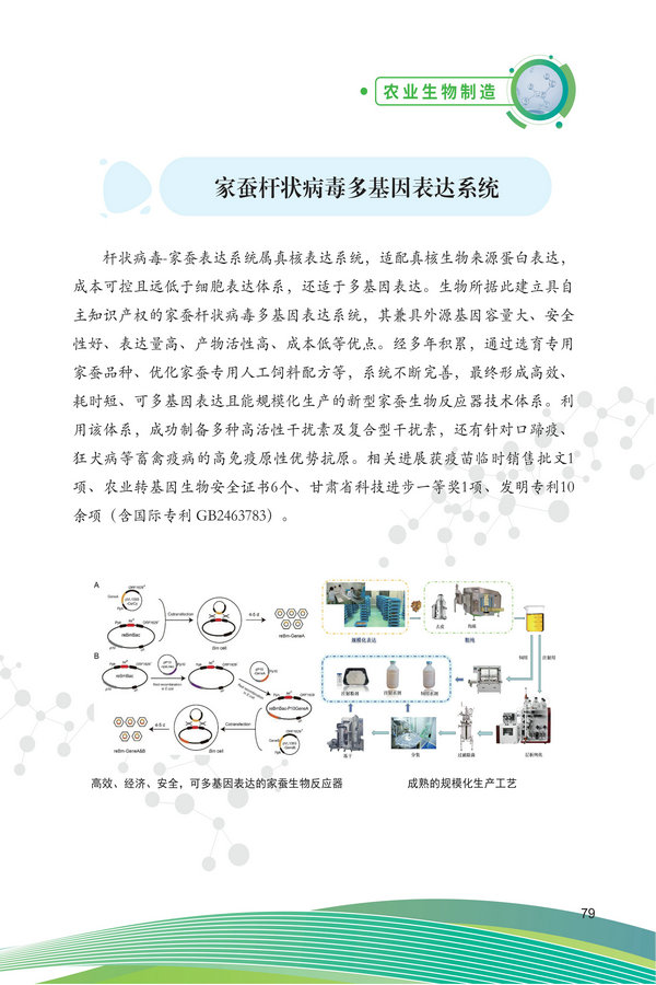 中国农科院生物所2026科技成果汇编2026.0403_89.jpg