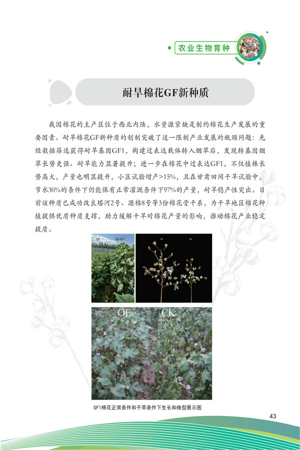 中国农科院生物所2026科技成果汇编2026.0403_53.jpg