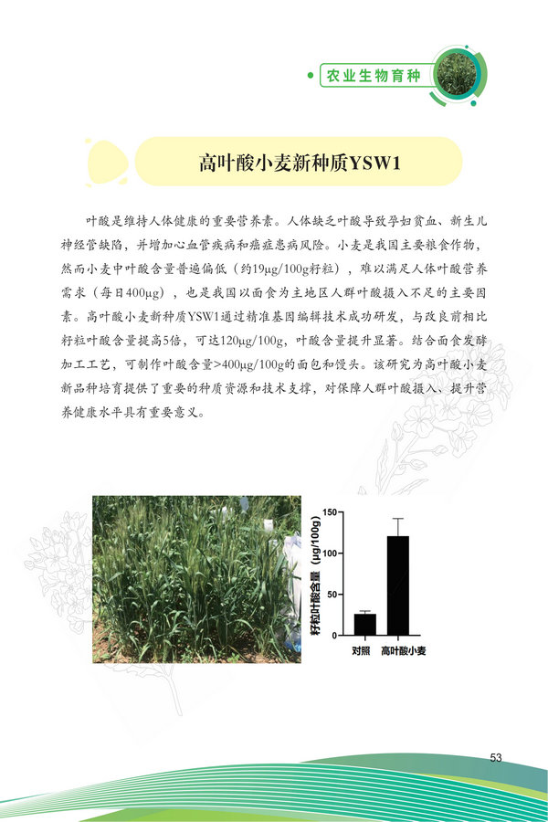 中国农科院生物所2026科技成果汇编2026.0403_63.jpg