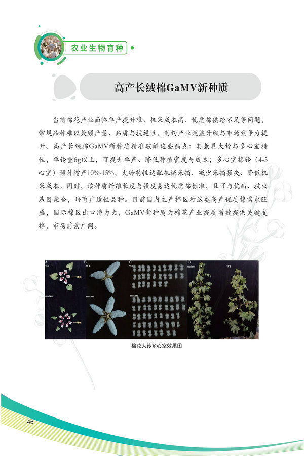中国农科院生物所2026科技成果汇编2026.0403_56.jpg