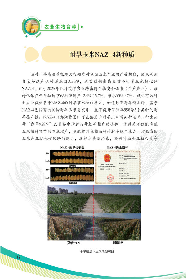 中国农科院生物所2026科技成果汇编2026.0403_22.jpg